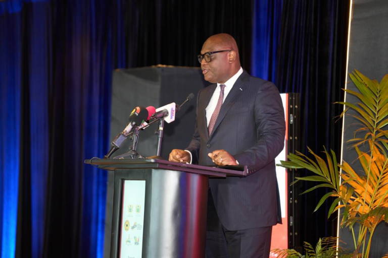 Ghana foreign direct investment 2025 report presentation with GIPA and Bank of Ghana representatives